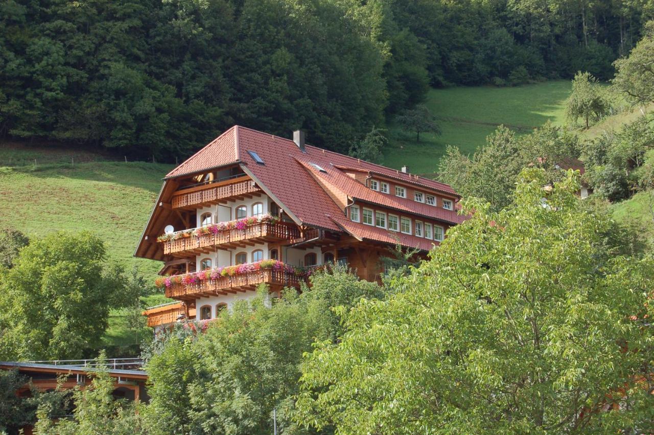 Ehrenmaettlehof Faisst Aparthotel Бад Петерстал-Грисбах Екстериор снимка