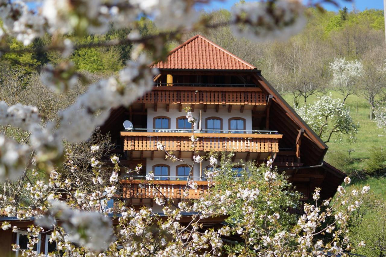 Ehrenmaettlehof Faisst Aparthotel Бад Петерстал-Грисбах Екстериор снимка