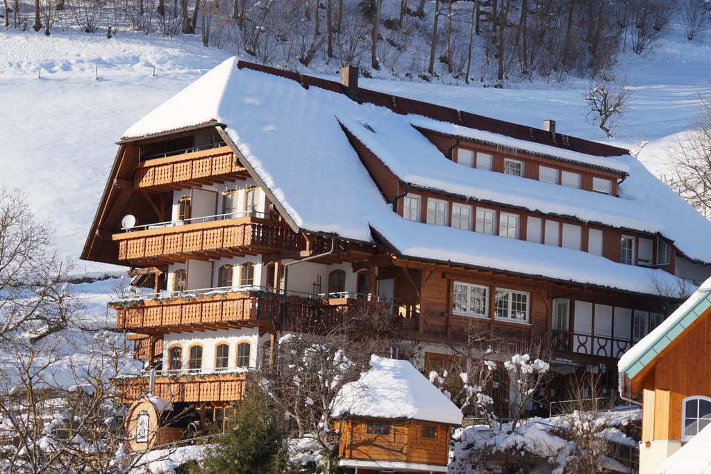 Ehrenmaettlehof Faisst Aparthotel Бад Петерстал-Грисбах Екстериор снимка