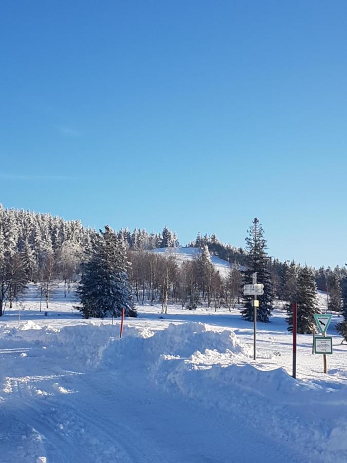 Ehrenmattlehof Faisst Aparthotel Бад Петерстал-Грисбах Екстериор снимка