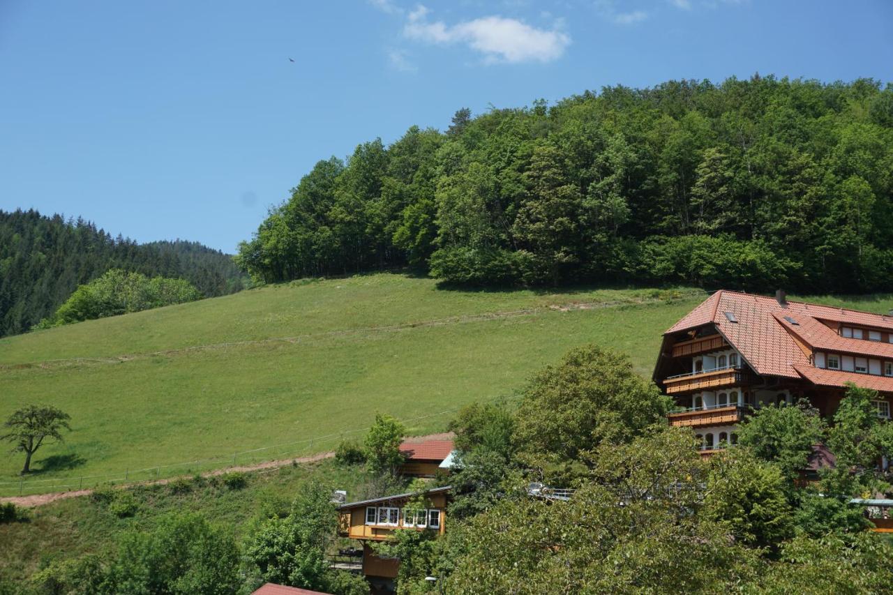 Ehrenmaettlehof Faisst Aparthotel Бад Петерстал-Грисбах Екстериор снимка